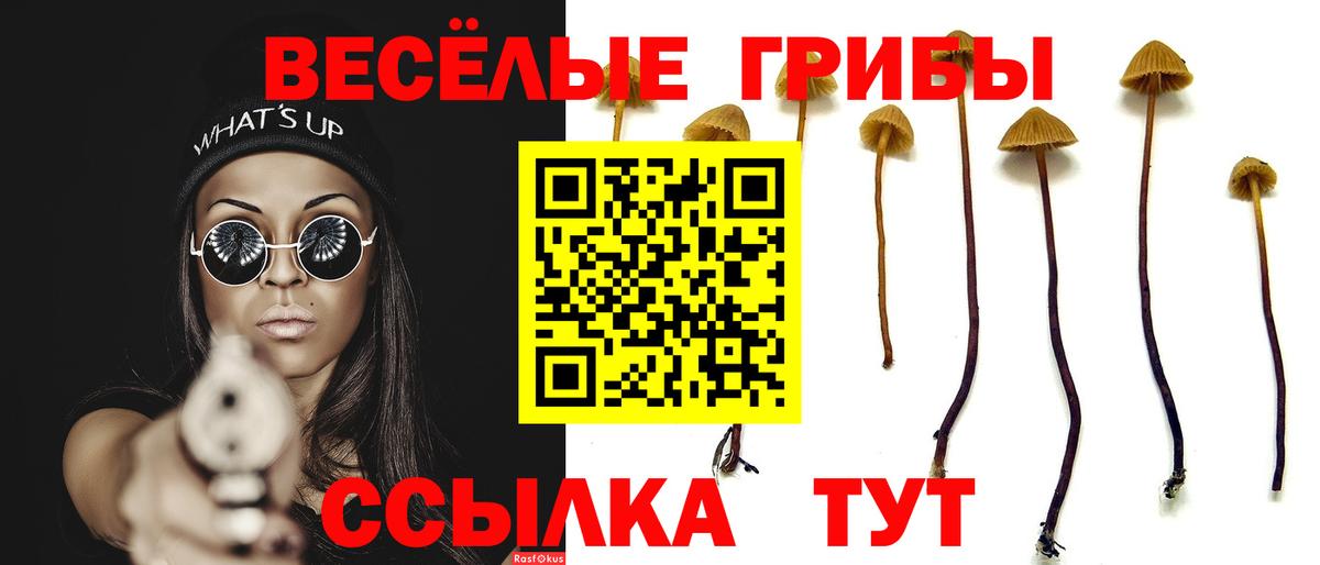 Псилоцибиновые грибы GOLDEN TEACHER Протвино