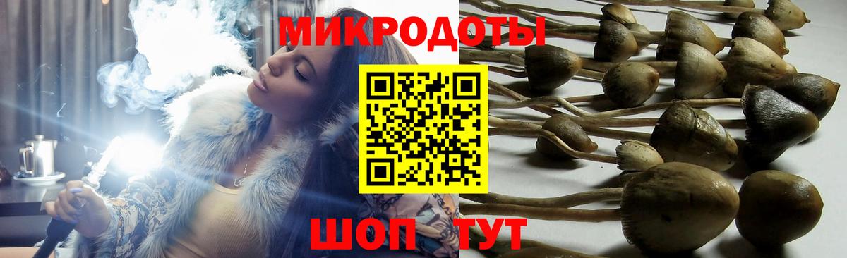 Галлюциногенные грибы ЛСД  хочу   Вход с VPN  Протвино  Псилоцибиновые грибы ЛСД 
