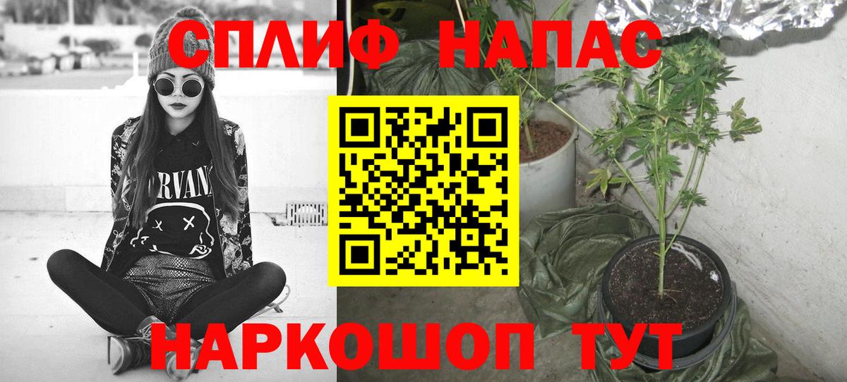 Шишки марихуана сатива Протвино
